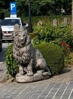 Grote betonnen leeuwen antiek look, Ophalen of Verzenden, Nieuw, Beton, Dierenbeeld