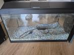 leeg aquarium, Dieren en Toebehoren, Vissen | Aquaria en Toebehoren, Ophalen of Verzenden, Gebruikt, Leeg aquarium