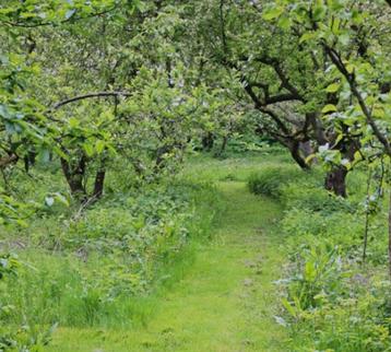 Snoeien voedselbos bostuin eetbare fruittuin permacultuur beschikbaar voor biedingen