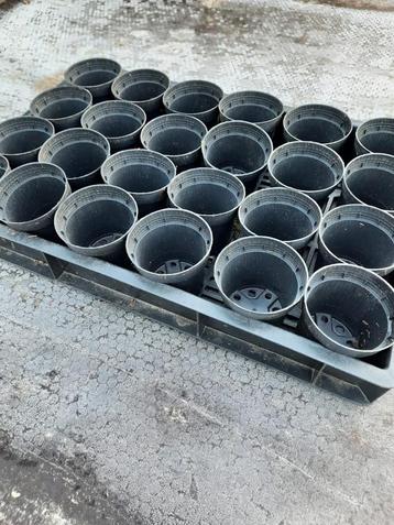 Potten 9 cm. Rond beschikbaar voor biedingen