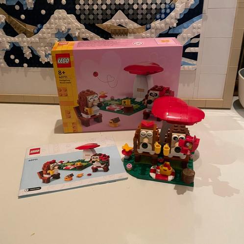 Lego 40711 hedgehog picnic date, Kinderen en Baby's, Speelgoed | Duplo en Lego, Zo goed als nieuw, Lego, Complete set, Ophalen of Verzenden