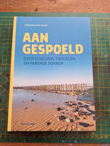 Koen Fraussen - Aangespoeld beschikbaar voor biedingen