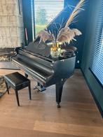 Stingl vleugel uit Wenen, Muziek en Instrumenten, Overige Muziek en Instrumenten, Ophalen of Verzenden, Zo goed als nieuw