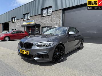BMW 2 Serie Coupé 218i High Executive Edition | 1E EIGENAAR beschikbaar voor biedingen