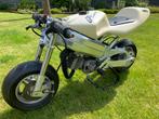 Polini minibike GP GRC moto, Fietsen en Brommers, Minibikes, Midibikes en Pitbikes, Overige typen, Zo goed als nieuw, 39 cc, Ophalen