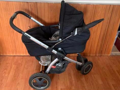baby peuter kinderwagen 3 in een Máxicosi Mura+ compleet, Kinderen en Baby's, Kinderwagens en Combinaties, Zo goed als nieuw, Combiwagen