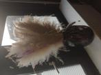 Tijgervaas inclusief pampas, Ophalen of Verzenden, Minder dan 50 cm
