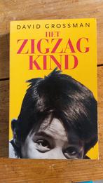 David Grossman - Het Zigzag kind, Ophalen of Verzenden, Zo goed als nieuw, Nederland, David Grossman