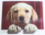 Kaart met 3D effect, blonde labrador pup, Ophalen of Verzenden, 1980 tot heden, Ongelopen, Hond of Kat