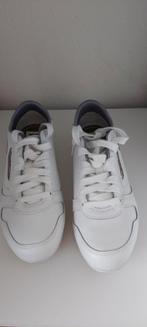 Diesel sneakers, Ophalen of Verzenden, Nieuw, Schoenen