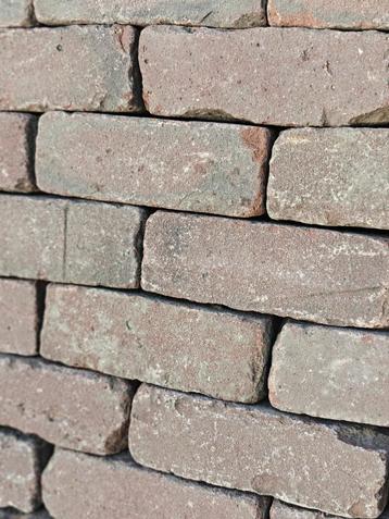 Rode gebakken dikformaten D7 beschikbaar voor biedingen