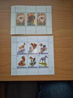 Motief Hond, Verzenden, Dier of Natuur