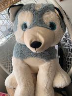 Er leuke grote knuffel van een Husky, Ophalen of Verzenden, Zo goed als nieuw, Overige typen