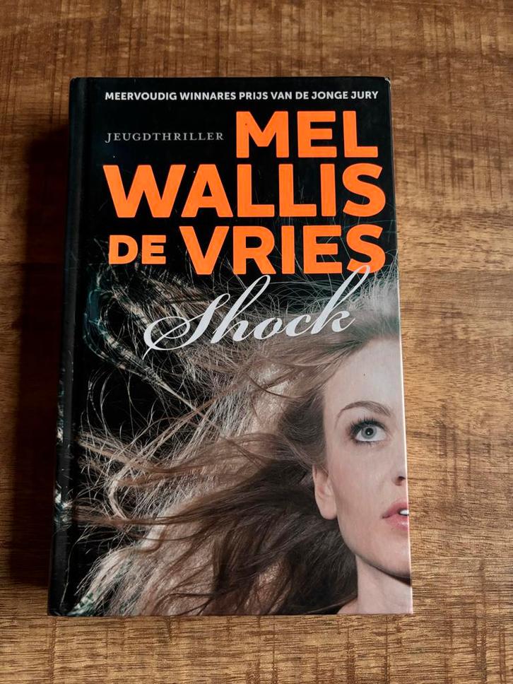 Shok - Mel Wallis de Vries, Boeken, Thrillers, Zo goed als nieuw, Nederland, Ophalen of Verzenden