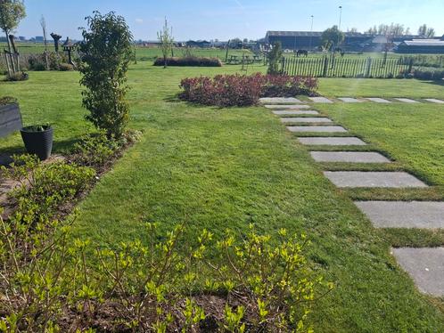 Tuinhulp in Oude Leede- Pijnacker gezocht, Diensten en Vakmensen, Tuinmannen en Stratenmakers