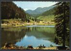 Salzburg, Zauchensee, Ophalen of Verzenden, 1960 tot 1980, Ongelopen, Oostenrijk