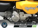 Honda Monkey-Z 125 ABS (bj 2022), Bedrijf, 125 cc, Toermotor, 11 kW of minder