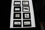 22 oude bijzondere glasdia's met  zeedieren, Ophalen of Verzenden, Voor 1940, Gebruikt, Foto
