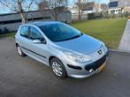 Peugeot 307 1.6 5DR | 2007 Grijs | APK tot 23-02-2027, Trekhaak, Zwart, 14 km/l, Handgeschakeld