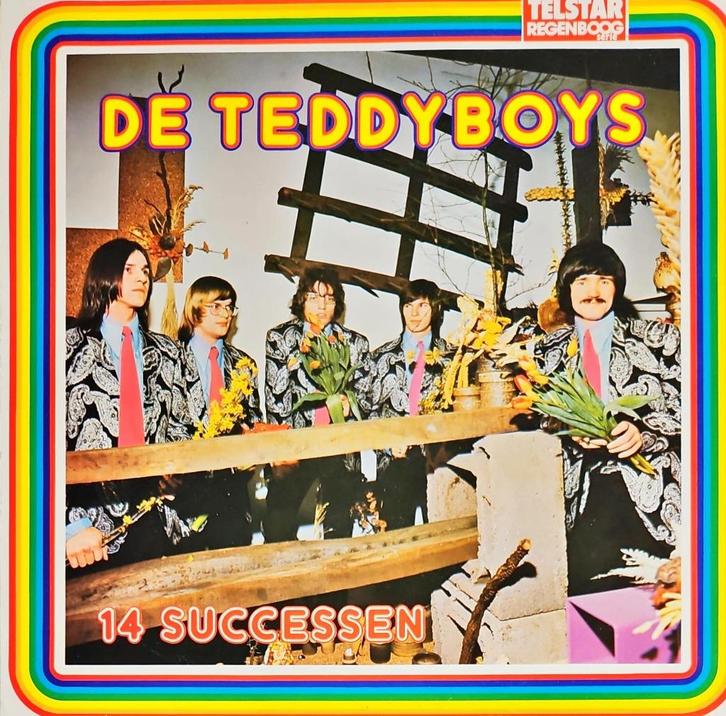 Teddyboys – 14 Successen - De Beste Van, Cd's en Dvd's, Vinyl | Nederlandstalig, Zo goed als nieuw, Levenslied of Smartlap, 12 inch