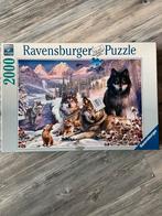 Ravensburg Puzzle wolven, Ophalen of Verzenden, Meer dan 1500 stukjes, Zo goed als nieuw