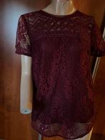 GLAMOROUS blouse met kant maat XL origineel ZGAN, Ophalen of Verzenden, Zo goed als nieuw, Maat 46/48 (XL) of groter, Korte mouw