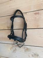 Zwart kieffer hoofdstel maat shet/pony, Dieren en Toebehoren, Paarden en Pony's | Hoofdstellen en Tuigage, Ophalen of Verzenden