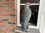Adelaar , Arend , Hoogte 55cm, Ophalen, Nieuw, Beton, Dierenbeeld