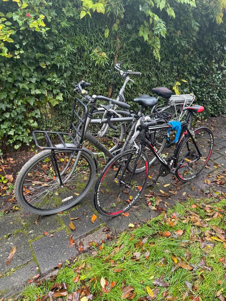 Diverse fietsen - Batavus, KS Cycling, Fietsen en Brommers, Fietsen | Heren | Herenfietsen, Gebruikt, Batavus, 53 tot 57 cm, Versnellingen