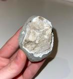 Zeldzame Scoletiet - 6cm x 4,5cm x 4cm, Verzenden, Mineraal