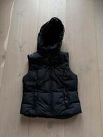 Nieuwe Goldbergh bodywarmer maat 40, Ophalen of Verzenden, Zo goed als nieuw, Maat 38/40 (M), Zwart