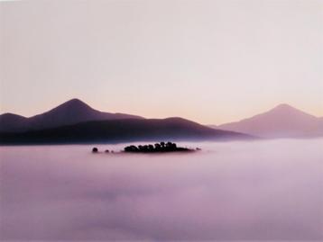 Roberto Ruberti - "Purple Sunrise", Italië (2019) beschikbaar voor biedingen