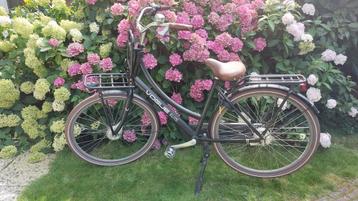 Voque Elite transport/oma/dames fiets 28inch 7n beschikbaar voor biedingen