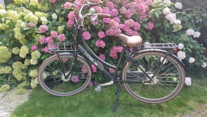 Voque Elite transport/oma/dames fiets 28inch 7n, Fietsen en Brommers, Fietsen | Dames | Damesfietsen, Gebruikt, Overige merken