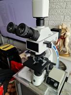 Euromex QX.3245 Oxion met Camera Euromex HD2 6MP, Stereomicroscoop, Zo goed als nieuw, 1000x of meer, Ophalen