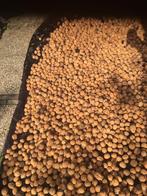 Walnoten, Diversen, Levensmiddelen, Ophalen