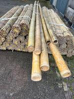 Bonenstokken tonkin bamboestok plantensteun, Nieuw, Overige typen, Ophalen of Verzenden