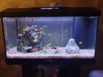 Juwel Aquarium, Dieren en Toebehoren, Ophalen, Gebruikt, Leeg aquarium