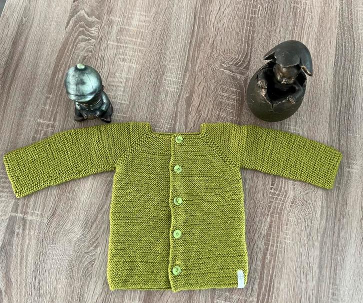 Mosgroen baby vestje maat 62/68 zelfgebreid., Kinderen en Baby's, Babykleding | Maat 62, Nieuw, Jongetje of Meisje, Truitje of Vestje