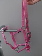 Halster maat veulen., Ophalen of Verzenden