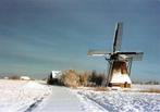 (F339) Ansichtkaart Schalsum 2004 Schalsumer Molen, Verzenden, 1980 tot heden, Ongelopen, Friesland