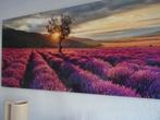 MODERN GLASSCHILDERIJ -PROVENCE- KOOPJE   OP=OP, Ophalen, 50 tot 75 cm, 125 cm of meer, Zo goed als nieuw