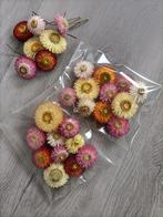 Strobloem knoppen, Ophalen of Verzenden, Zo goed als nieuw