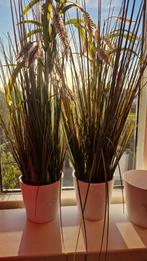 Kunstplanten, Huis en Inrichting, Kamerplanten, Ophalen, Overige soorten, Minder dan 100 cm