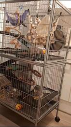 Pawhut rattenkooi, Dieren en Toebehoren, Knaagdieren en Konijnen | Hokken en Kooien, Ophalen, Kooi, Gebruikt, Rat
