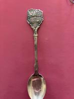 Lepeltje MS RIJNHAVEN, Ophalen of Verzenden, Gebruikt