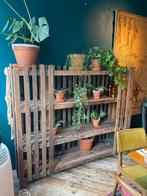 Hard houten kast, Ophalen