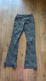 Broek Coolcat, Broek, Meisje, Coolcat, Ophalen of Verzenden