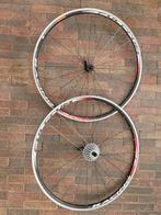 Campagnolo/Fulcrum vintage racefiets wielen, Gebruikt, Campagnolo, Racefiets, Ophalen