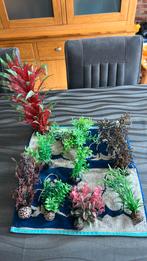 Hoge en lage aquarium plantjes  zie foto, Ophalen, Gebruikt, Plant(en), Steen of Hout